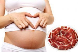 blog mimuselina toxoplasmosis y embarazo la gran desconocida comer jamón embarazo