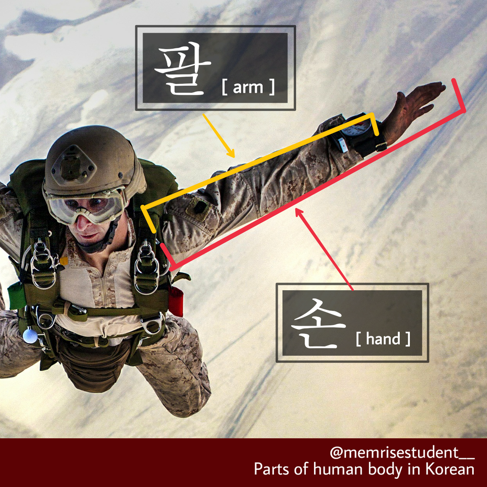 hands in Korean what is Hands in Korean?