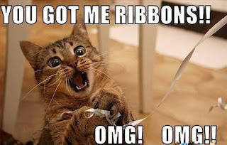 Cat Memes Photos Cat Memes Photos