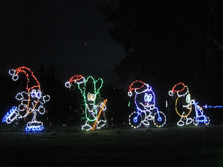 Light display: Rollerblading, hiking, bicycling, and strolling holiday vegetables, Vasona Lake County Park, Los Gatos, California