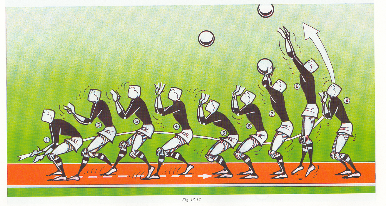 EDUCACION FISICA 1°M INSUCO TALCA Fases