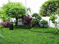 JASA TUKANG TAMAN JOGJAKARTA | TUKANG TAMAN SOLO | TUKANG TEBING JOGJA | TUKANG KOLAM IKAM MINIMALIS JOGJA . JASA TUKANG TAMAN JOGJAKARTA | TUKANG TAMAN SOLO | TUKANG TEBING JOGJA | TUKANG KOLAM IKAM MINIMALIS JOGJA .