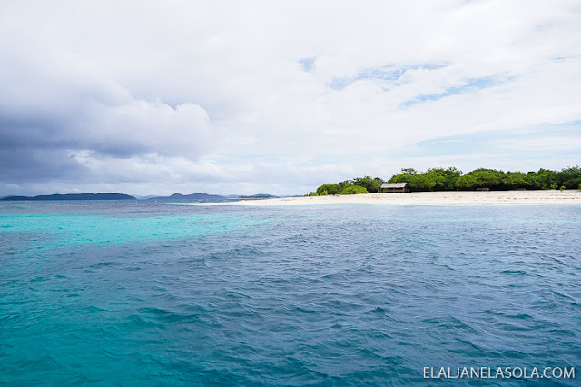 Coron | Calauit Safari Park & Pamalican Island (Natural Arts Travel and Tour) Palawan