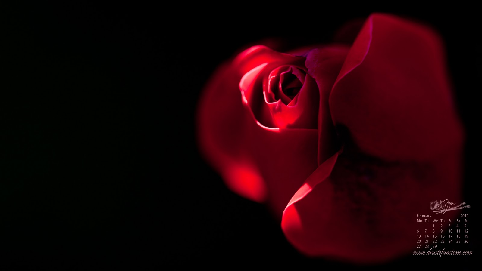 Dru Stefan Stone: January 2012