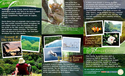 16 ejemplos de brochure relacionados al turismo