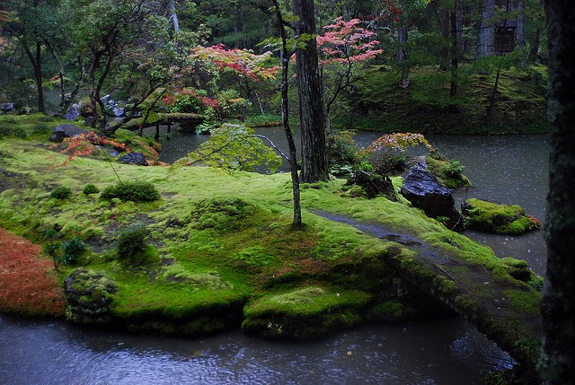 KOSEN RUFU: CAMINO HACIA LA PAZ: NISSHŌ. QUINTO SACERDOTE BUDISTA ...