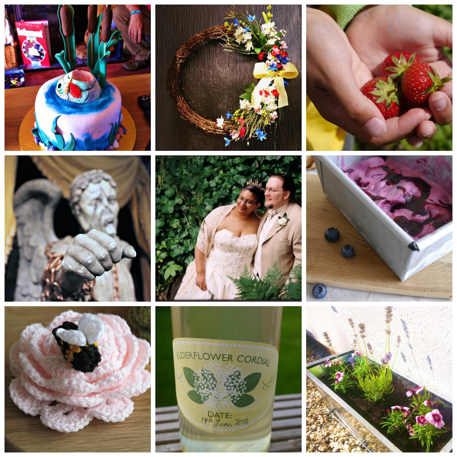 Little Apple Tree: July 2014 in pictures