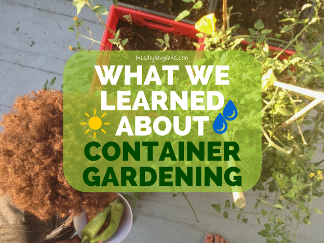What We Learned About Container Gardening