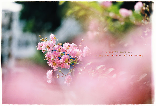 Thơ tình yêu trên facebook, Các bài thơ tình Facebook hay nhất