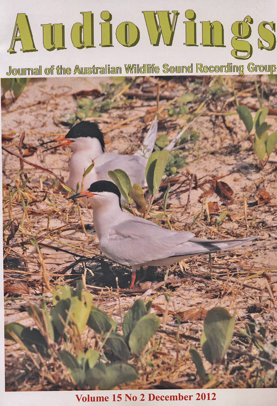 about of insectt Notice Australian Wildlife Sound Recording