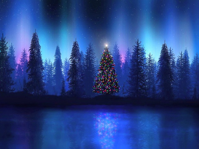 Christmas Wallpapers and Images and Photos: Christmas tree night, 3d ...