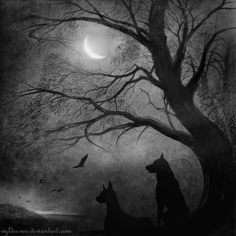 18-Wolfshade-wyldraven-Surreal-Night-Time-Photo-Manipulation-www-designstack-co