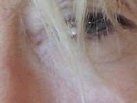 Extrait 2 du tome 2 "la renaissance" œil vert d' Elysabeth Van Hollebeke