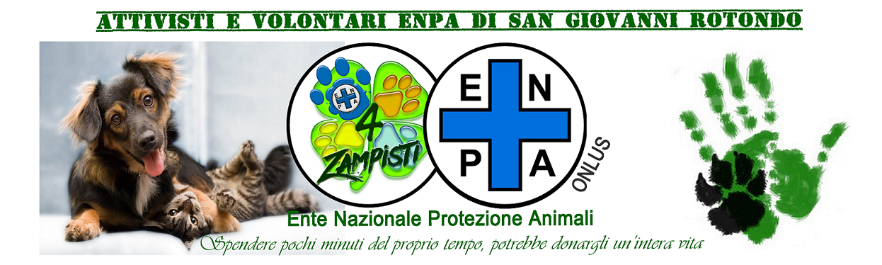 4Zampisti - ENPA San Giovanni Rotondo