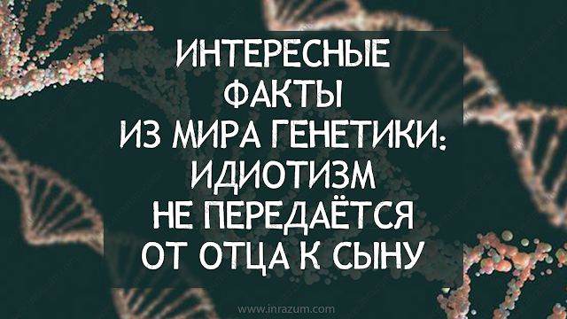 Влияние окружающей среды на формирование интеллектуального потенциала