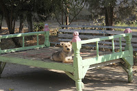 Uzbekistan, andijan, Navoï Park, topchan, © L. Gigout, 2012