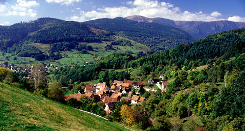 Fairy tales, toy stories Animals Plants Rainforest: Black Forest Village