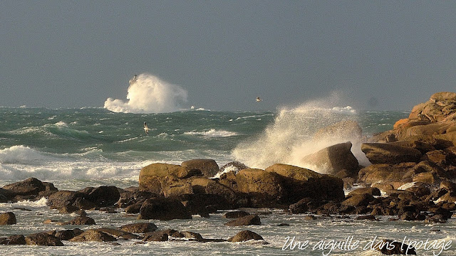 le phare du Four sous les vagues 