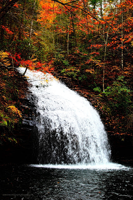 Waterfalls, Hiking, Nature, Fall Leaves
