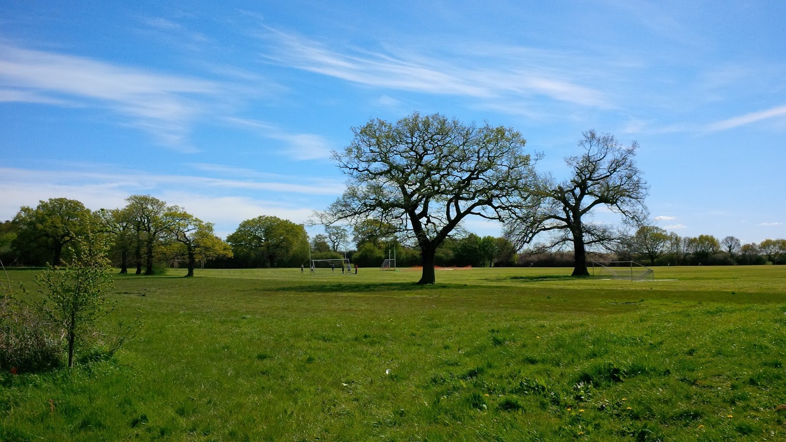 The Willesden Herald Horsenden Hill Park today