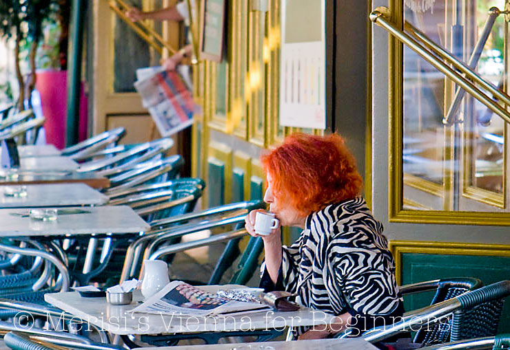 Merisi S Vienna For Beginners 09 01 2011 10 01 2011