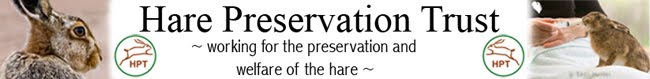 The Hare preservation trust