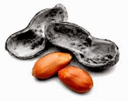 Andrea Blog: Gambar Peribahasa Kacang Lupa Kulitnya
