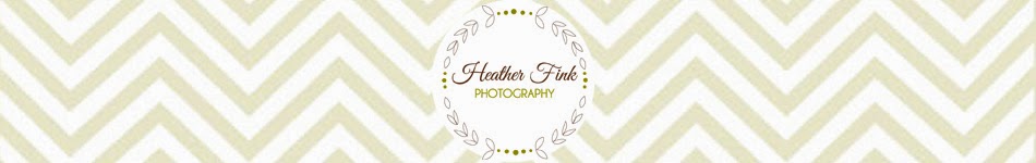 Heather Fink Photography - Charlotte, NC Portrait and Wedding Photographer