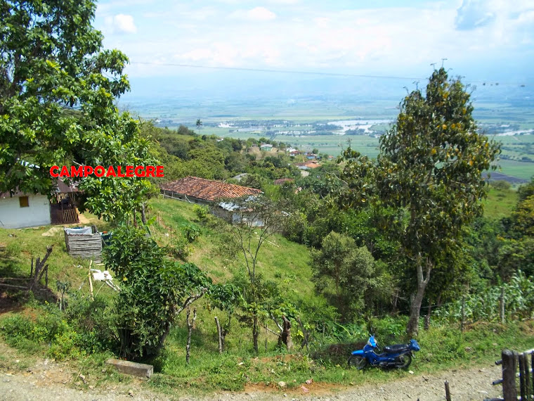 VEREDAS Y CORREGIMIENTOS DE YOTOCO- VALLE DEL CAUCA.