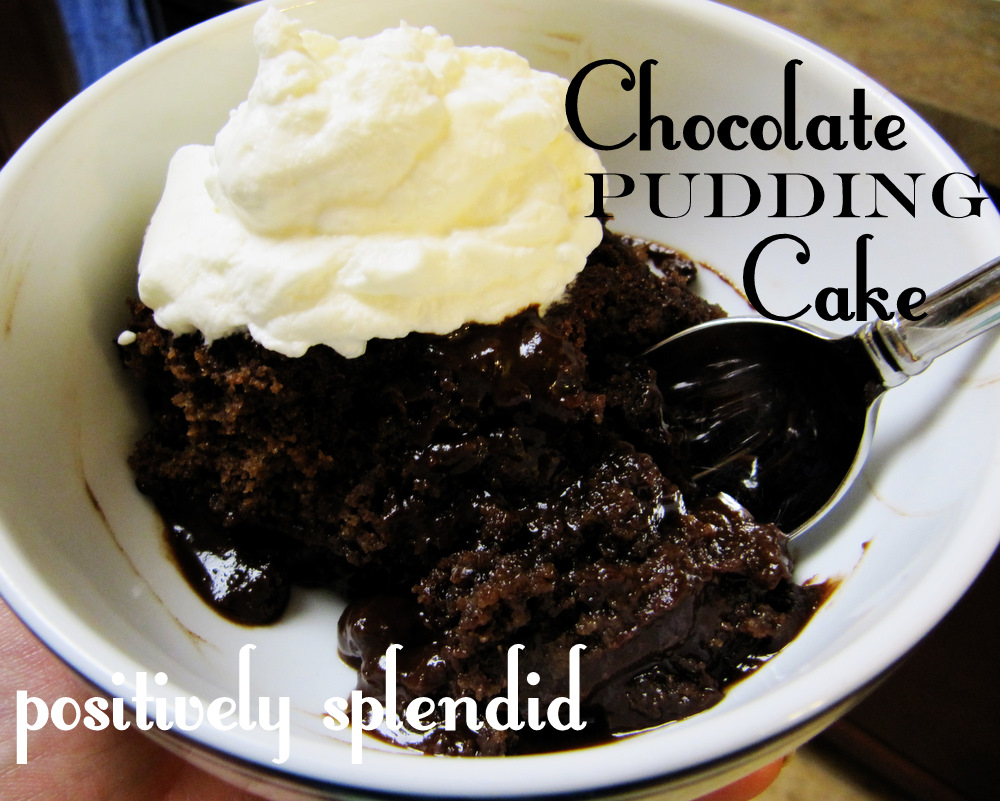 Chocolate Self Saucing Pudding Mug Cake Chocolate Self Saucing Pudding Mug Cake