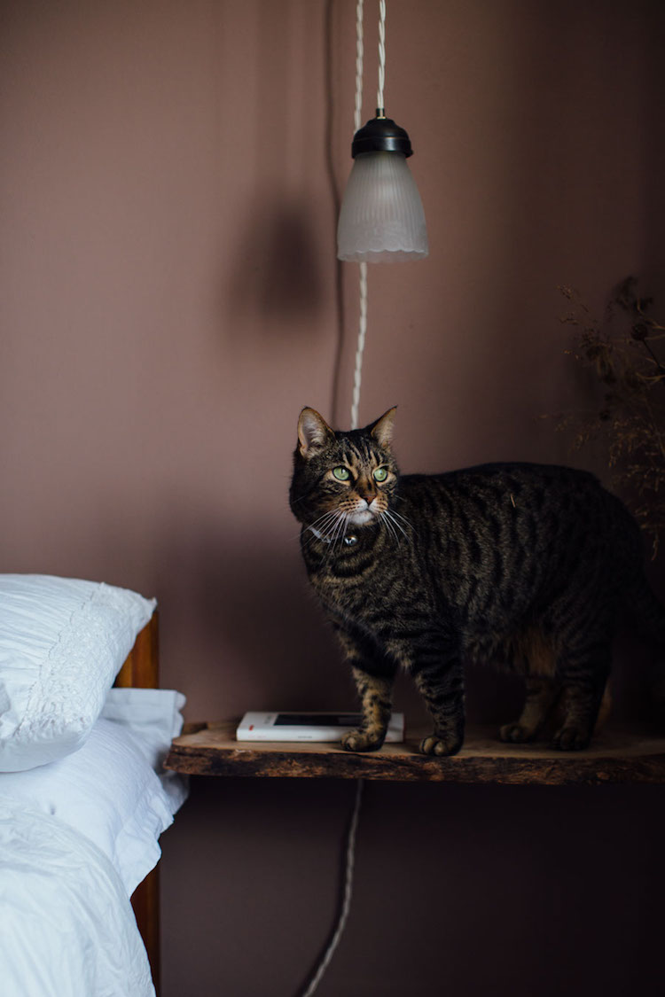 Duvet Day In This Cosy 'Forever Autumn' Bedroom?