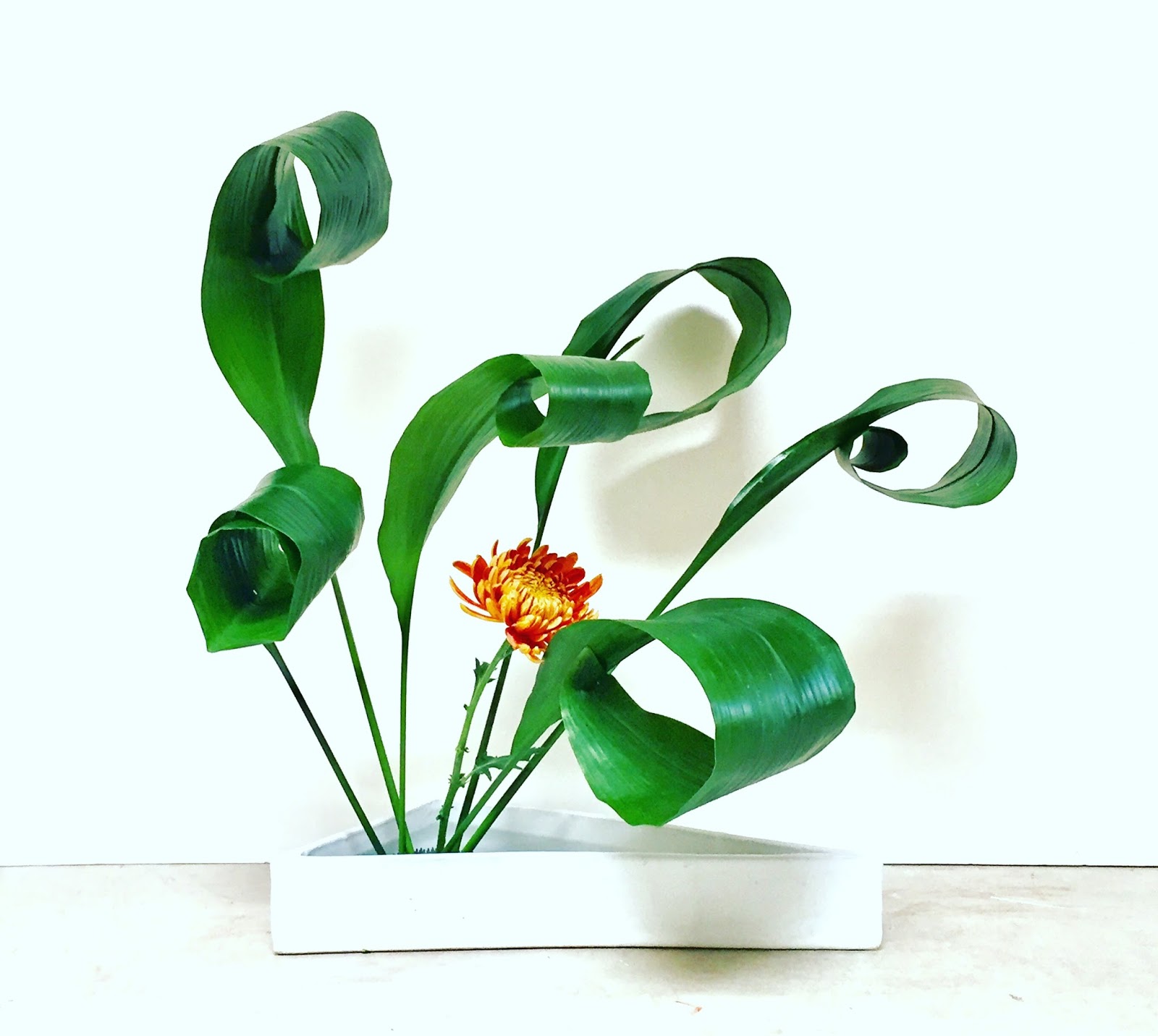 ikebana lessons ikebana class 11/4