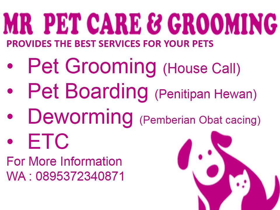 Grooming Anjing Kucing Bandung: Grooming Anjing Kucing Panggilan Bandung