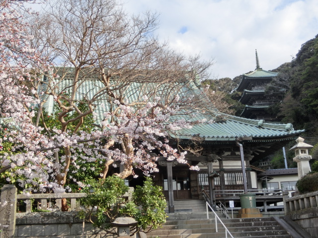 Okadoのブログ 鎌倉散策の記録 江ノ電で桜と寺社めぐり ２０１５ もうすぐ花見の時季