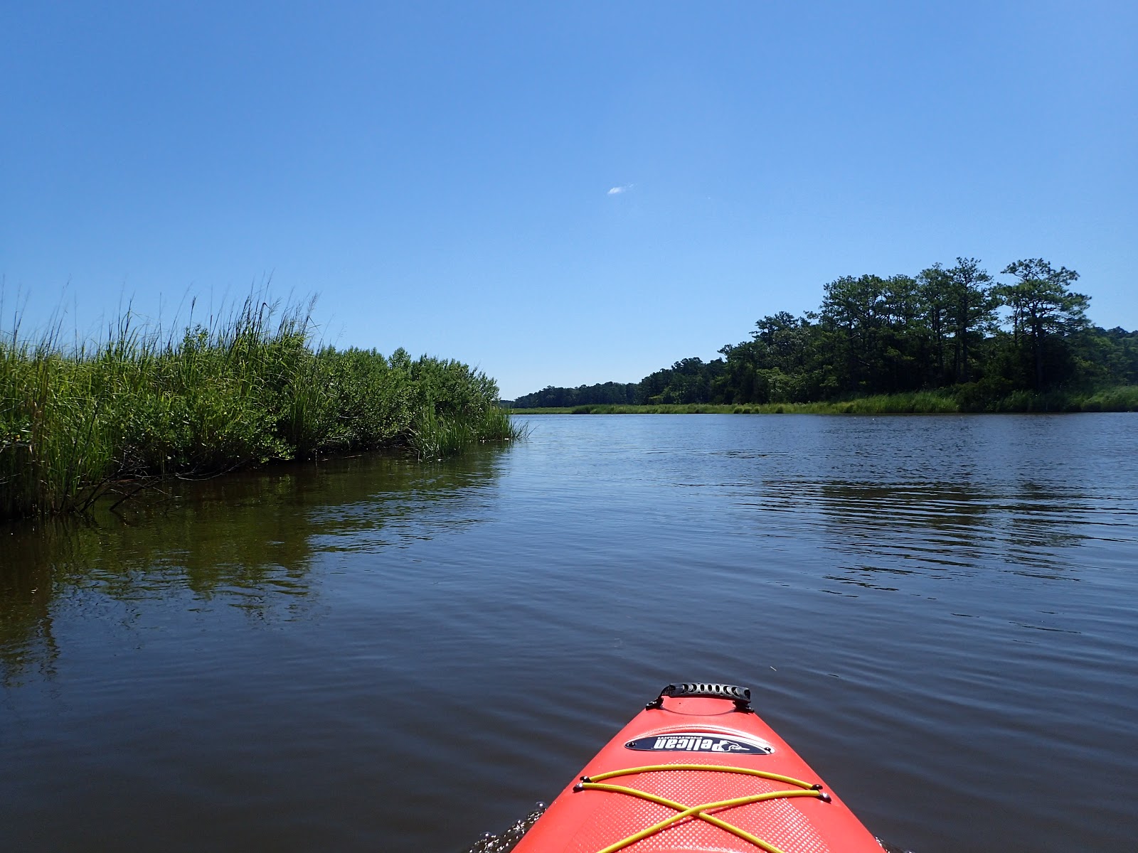 MidAtlantic DayTrips Wetipquin Creek Kayaking Adventure