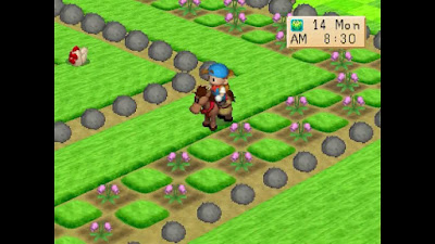 Harvest Moon Back To Nature For Android