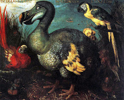 dodo birds fly animals fat alice extinction why wonderland dead history savery bird extinct museum roelant dodos humans adventures london