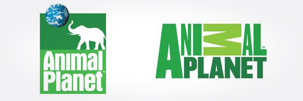 History of All Logos: All Animal Planet Logos