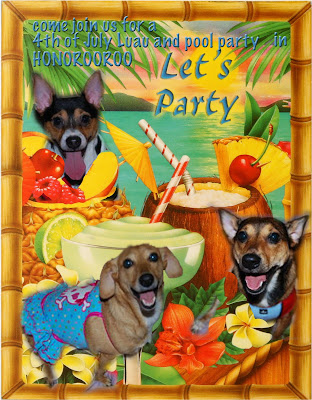 2nd Annual 4th of July Pool Pawty and Luau