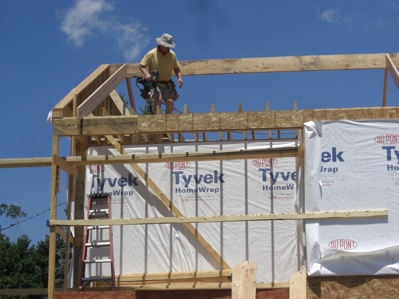 Bringing Down the House: July 2011