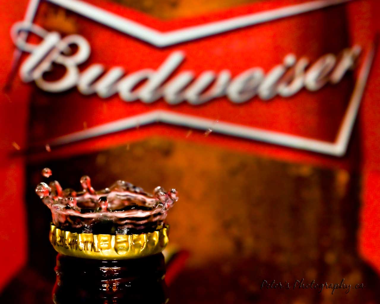 new wallpaper 2011: Budweiser Wallpaper - Budweiser Is Truly the King