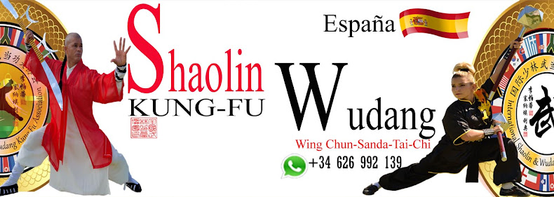 FEDERACION INTERNACIONAL DE SHAOLIN Y WUDANG KUNG FU