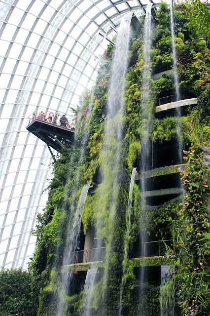 たにことたにく 多肉植物 シンガポール ガーデンズ・バイ・ザ・ベイ Singapore Cloud Forest Gardens by the Bay ドーム 滝の画像