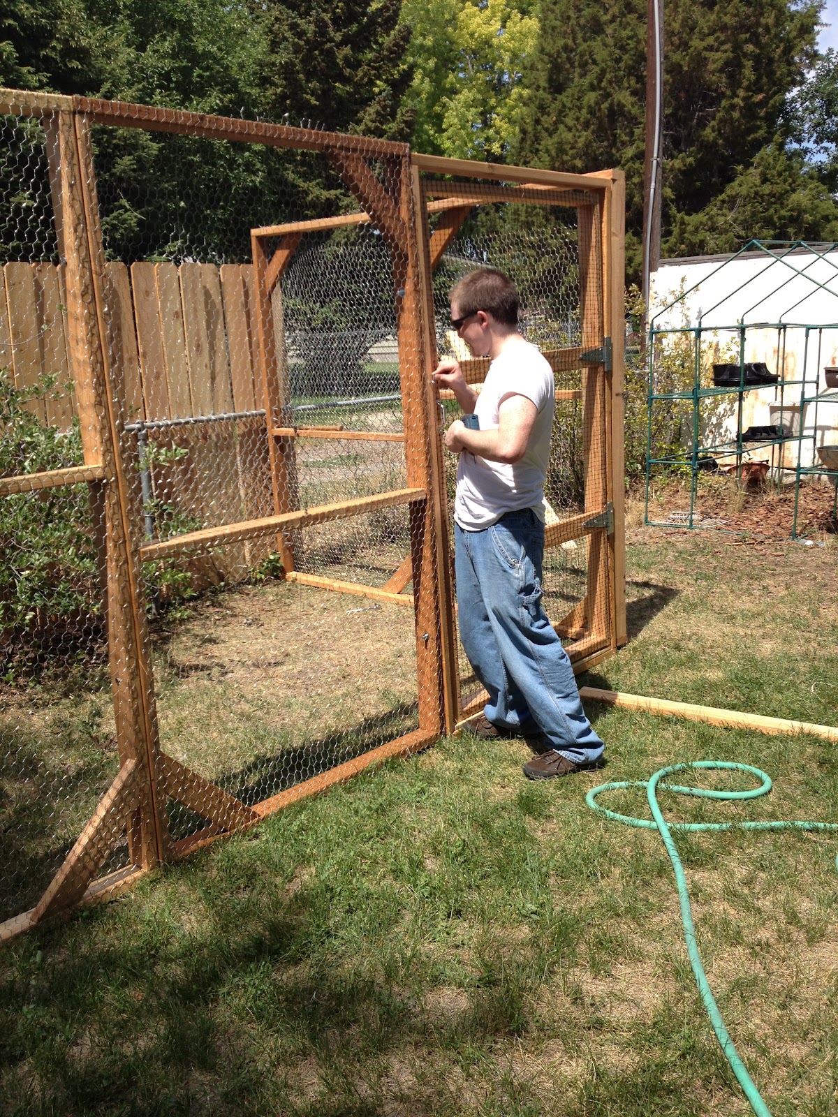 Creative Healings The Chicken Enclosure is Finally Done!