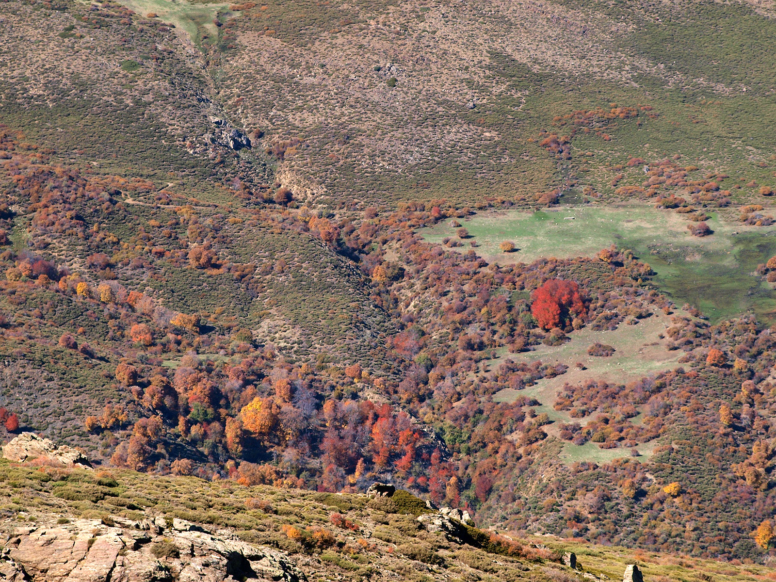 Caminando por Sierras y Calles de Andalucía El Bosque encantado