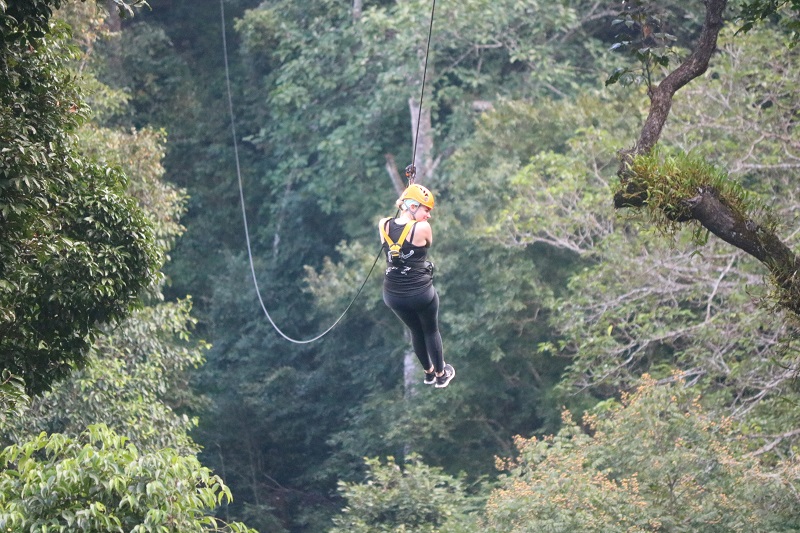 Flight of the Gibbon Chiang Mai