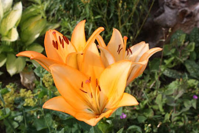 UNS HUS - Ein Bericht über die Renovierung eines Bauernhofes aus dem