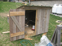 coop chicken stone soup miller