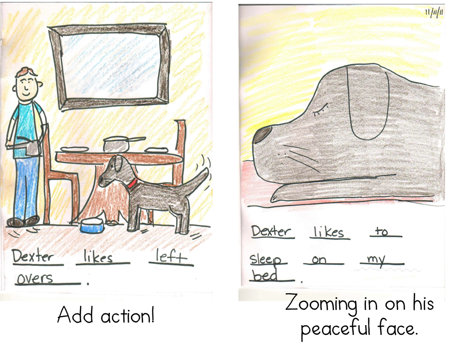 writers illustrative study