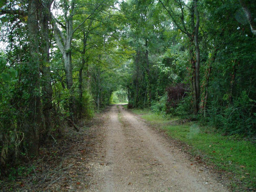 Haunted Nation Fort Derussy Cemetery Marksville, LA (Spiders